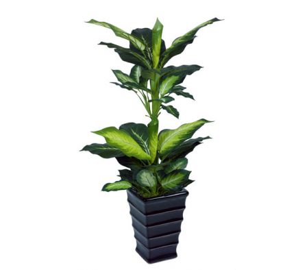 Planta Artificial Deiffenbachia 743D-42